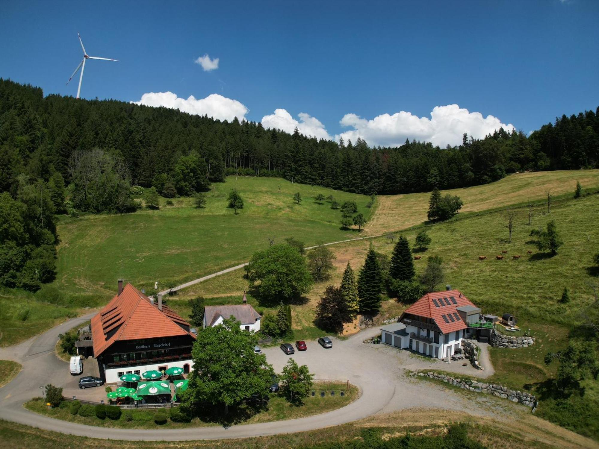 Ferienhaus Wendelinus Mit Pool & Sauna Hausach Eksteriør bilde